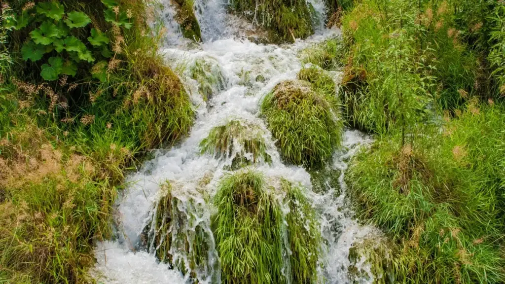 Jagora ga 'yan kasuwa a Najeriya: yadda za a nemo masu ƙirƙira na Spotify daga Finland don haɓaka isar da sakon alamar lafiyar rayuwa.