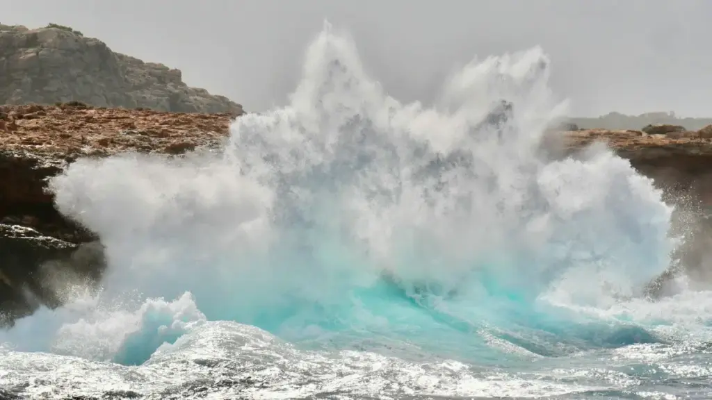 Jagora ga 'yan kasuwa a Najeriya: matakai na gaske don gano masu ƙirƙira na WhatsApp a Hungary, yadda za a tattauna yarjejeniyar biyan kudi ɗaya, da yadda za a tantance su kafin a biya.