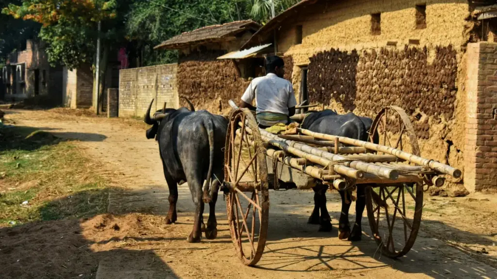 Jagora mai amfani ga masu talla a Najeriya — yadda za a gano masu ƙirƙira daga Indiya don daidaita sakon kasuwanci cikin yare da al'adu.