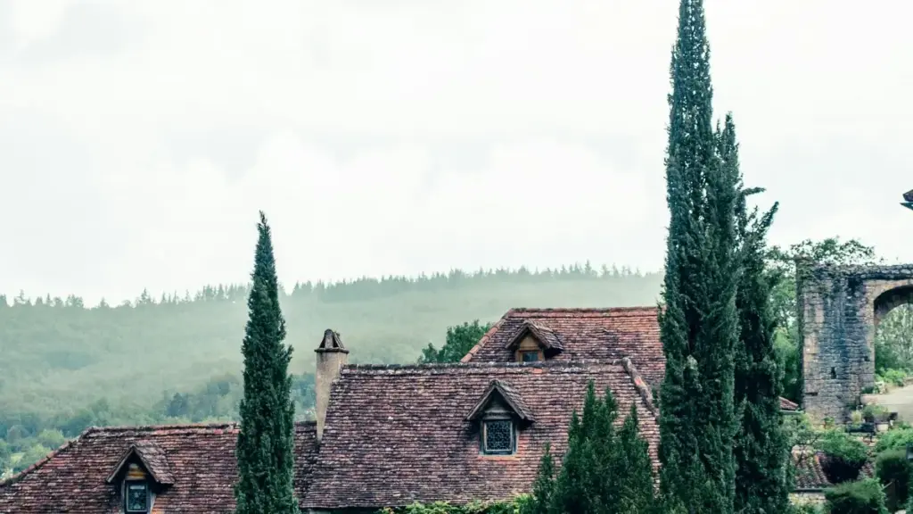 Jagora ga 'yan kasuwa na Najeriya: yadda za a gano masu ƙirƙira na WeChat a Mexico don haɗin kayayyaki, hanyoyi, dabaru, da misalai na ainihi domin haɗa manyan creators.