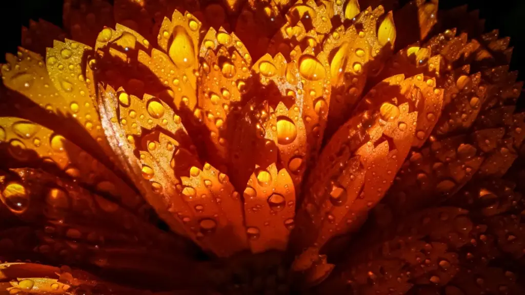 Yadda masu talla a Najeriya za su gano masu kirkirar abun ciki na Morocco a WhatsApp don tallata tayin kakar sayarwa, da dabaru, tsaro, da inda za a tuntube su.