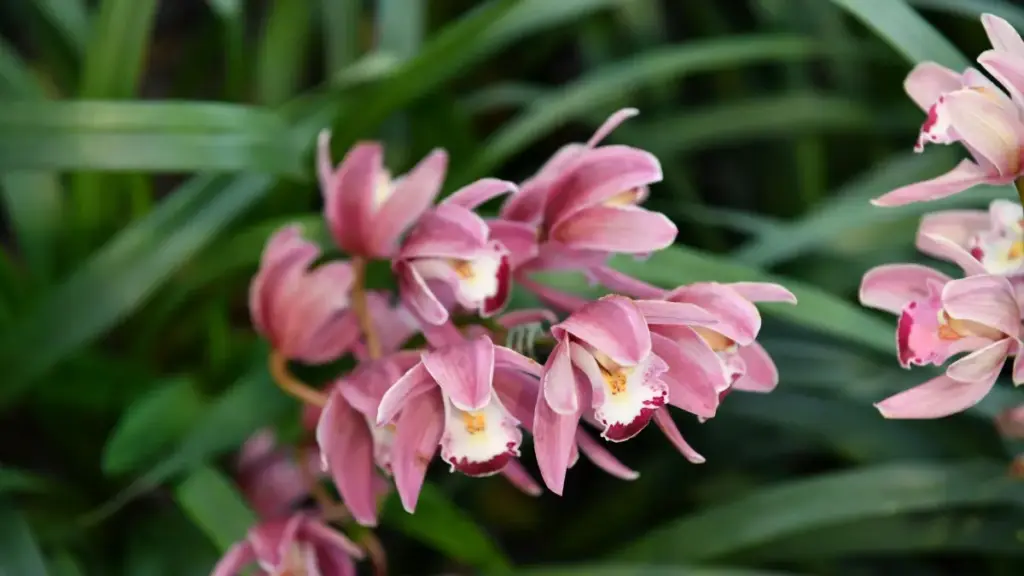 Jagora na mataki‑mataki don masu talla a Najeriya — yadda za a gano, tantance, da yin haɗin gwiwa da masu ƙirƙira na "Josh" daga Uzbekistan don tallafawa bidiyon bayan‑fage (BTS).