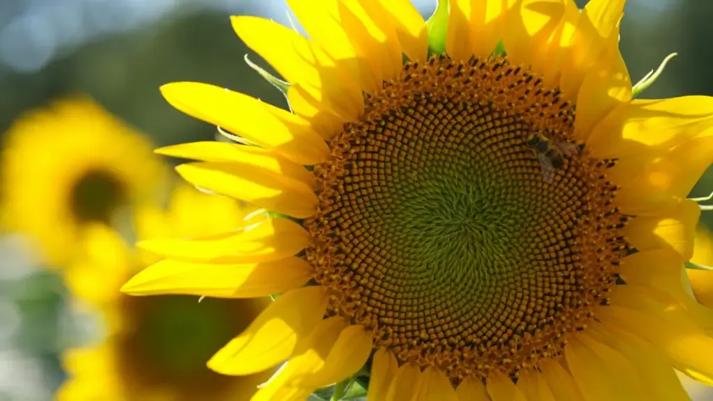 "Jagora na Hausa don 'yan kasuwa a Najeriya: yadda za a gano creators daga Jamus masu yin abun HBO Max don suyi featuring layin supplements na lafiya — mataki-mataki, damar kasuwa, da dabarun haɗin gwiwa."