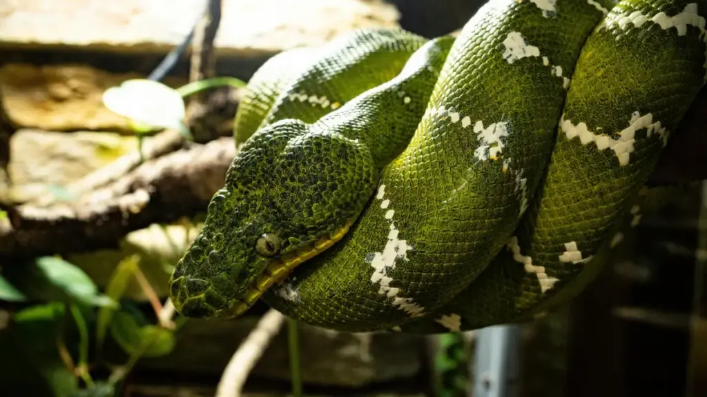 Koyi yadda 'yan kasuwa a Najeriya zasu gano Peru LinkedIn creators don haɗa saƙon alama cikin livestreams cikin sauƙi.