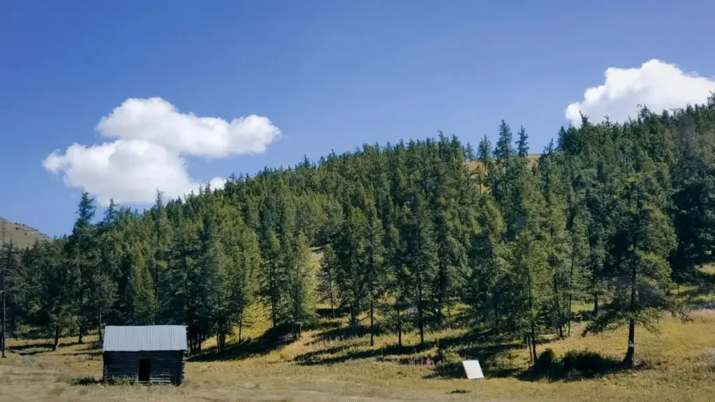 Jagorar mataki-mataki don 'yan kasuwa a Najeriya yadda za su samu Kuaishou creators na Singapore don gudanar da giveaway campaigns.