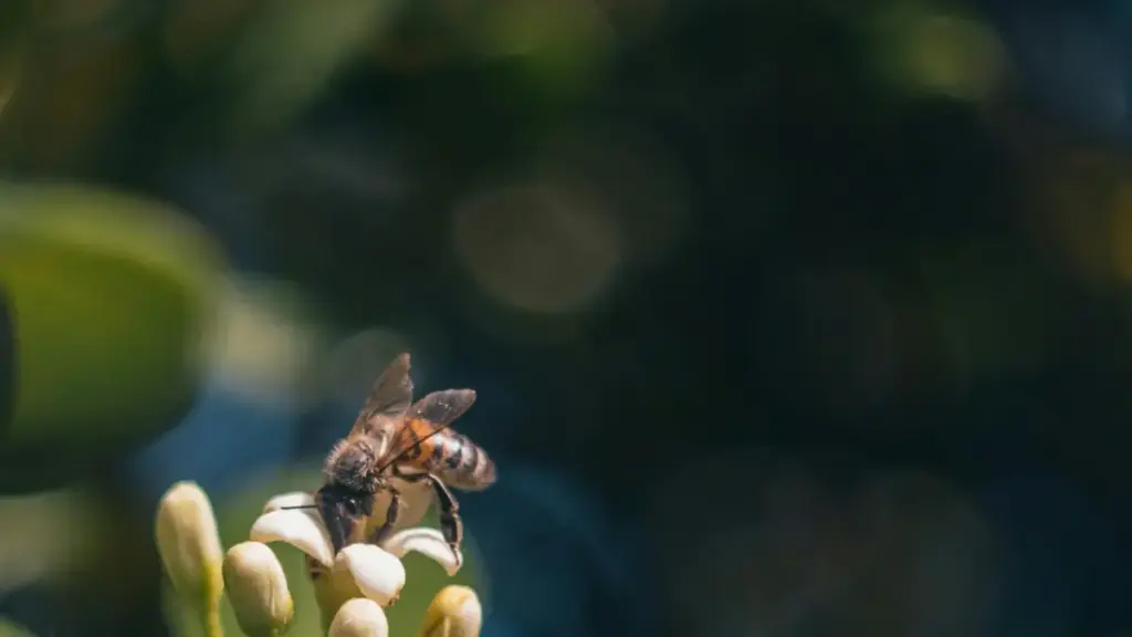 Yadda 'yan kasuwa daga Najeriya za su nemo Snapchat creators a Qatar, su tura traffic zuwa landing page cikin sauri da aminci.