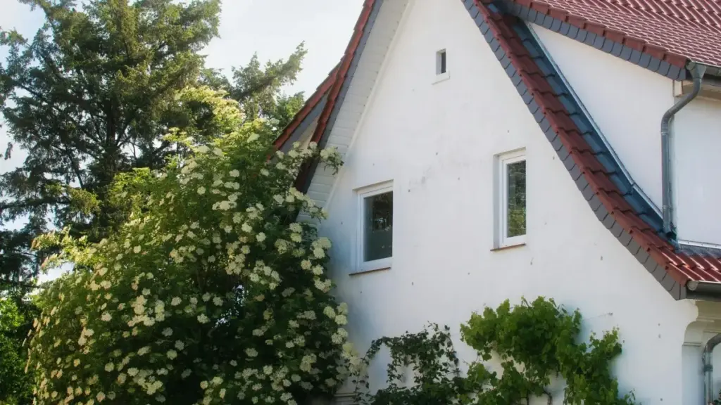 "Jagora na Hausa don masu ƙirƙira daga Nigeria: hanyoyi masu amfani don samun Azerbaijan brands a Douyin, yin co-create na exclusive product bundles, da yadda za ka sarrafa farashi da vouchers."