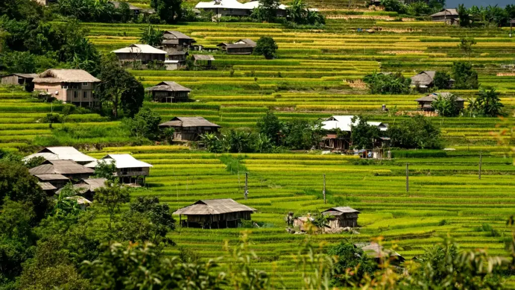 Jagora ga 'yan ƙirƙira a Najeriya: dabaru na kaiwa da haɗa kai da brands na Ethiopia a Moj don ƙirƙirar fashion lookbooks da samun haɗin gwiwa.