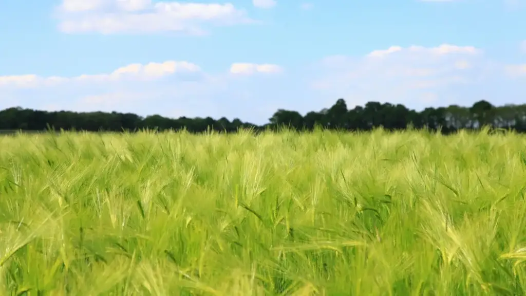 "Jagora mai sauki ga creators na Najeriya: dabarun kama hankalin brands na Laos ta WhatsApp don ƙirƙirar hype kafin ƙaddamarwa."