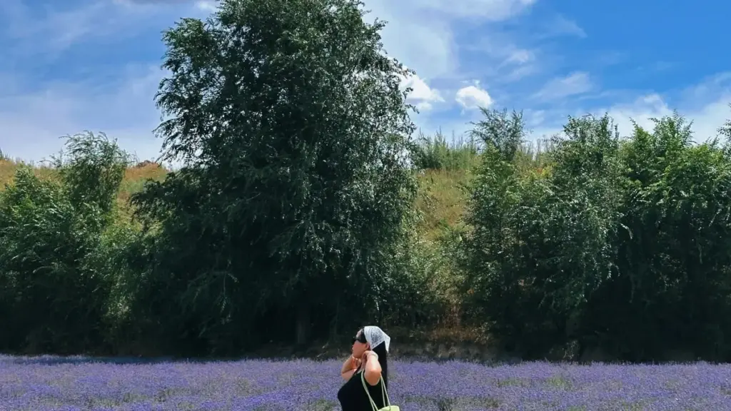 "Jagora ga masu ƙirƙira daga Najeriya: yadda zaka samu da gina amincewa tare da kamfanonin Turkiyya ta hanyar Line, da matakai masu aiki don samun sponsors."