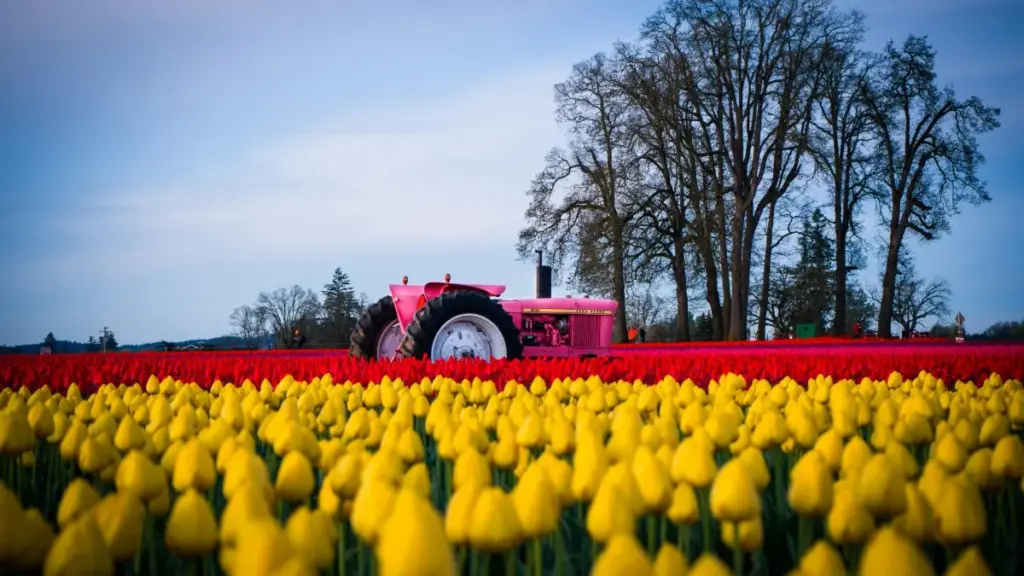 "Jagora na Hausa don 'yan talla: yadda za a samu masu tasiri a Tunisia a Threads don nuna salon kakar nan — dabaru, inda za a nema, da yadda za a haɗa su cikin kamfen ɗinku."