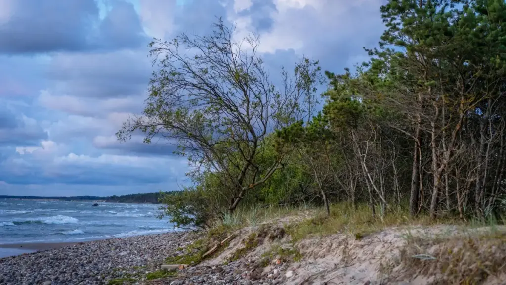 Jagora ga 'yan kasuwa Naija don gano Apple Music creators daga South Africa don kaddamar da limited edition drops cikin sauki.