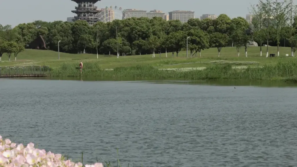 Jagora ga 'yan kasuwa a Najeriya kan yadda za su nemo WeChat creators daga China domin gwajin sabbin kayayyaki.