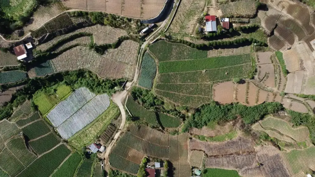 Koyi yadda masu kirkira a Najeriya zasu isa Jordan brands a Bilibili don nazarin sabbin fasalin wasanni cikin sauki.