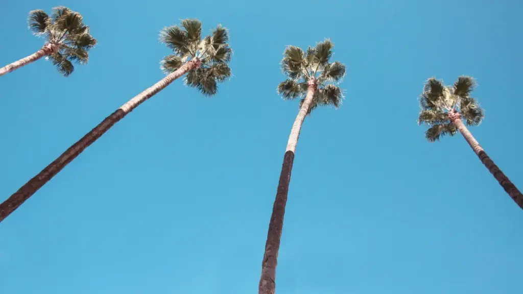 Koyi yadda za ka samu Myanmar Douyin creators don taimakawa wajen tura saukar app ta hanyoyin influencers.