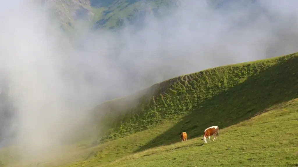 Jagora mai amfani ga 'yan talla a Najeriya: matakai, haɗin kai, da yadda za ku nemo masu OnlyFans na Austria don tallata sabbin kayan sawa cikin hikima da aminci.