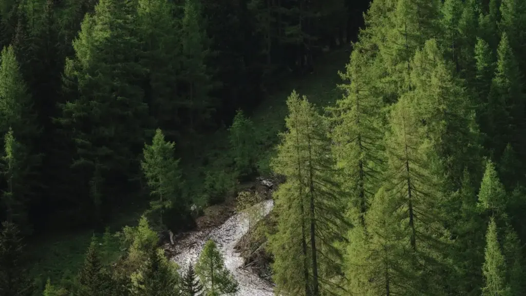 "Jagora ga 'yan kasuwa a Najeriya: yadda zaku gano masu kirkira na Disney+ a Ethiopia, da yadda zaku daidaita saƙon ku don al'adu da yawon shakatawa."