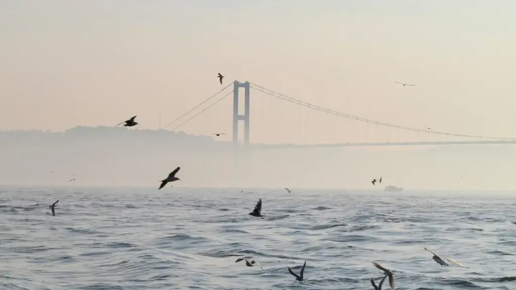 Jagora mai amfani ga masu talla a Najeriya: yadda za a gano creators daga Faransa a KakaoTalk don shirya kalubalen fitness na creator-led.