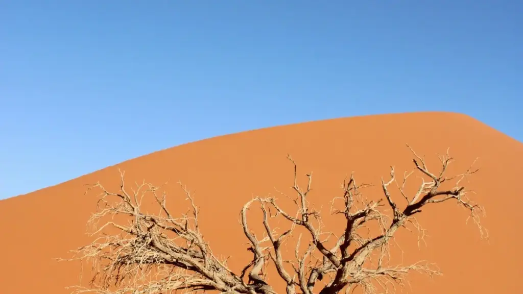 Jagora mai sauri ga 'yan kasuwa na Nigeria don nemo kuma haɗa da Portugal QQ creators don haɓaka product-led growth ta creator content. Practical steps, tools, da kasuwar 2025 insights.