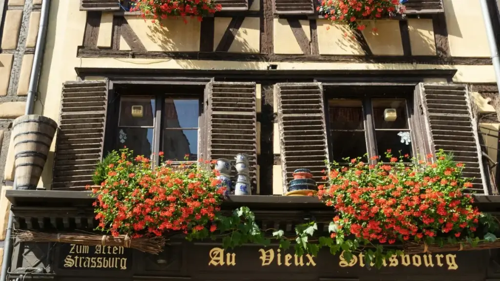 Yadda masu ƙirƙira daga Najeriya zasu isa brands na Argentina a Rumble don haɗin gwiwar styling challenges — dabaru, misalai, da takamaiman matakai.