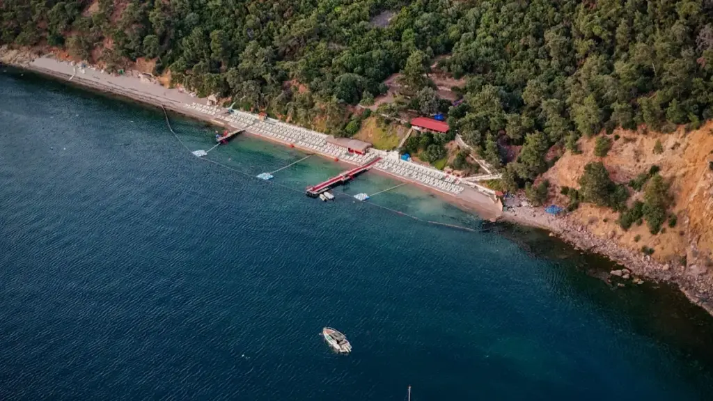 Jagora ga masu ƙirƙira daga Najeriya: matakai masu aiki don haɗa alamar Costa Rica ta Telegram, gina CTAs masu karfi, da samun canjin talla a 2025.