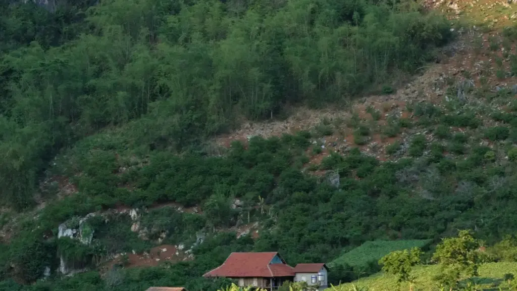 Jagora mai sauƙi ga creators Najeriya: yadda za ku gano, tuntuɓa, da haɗu da Japan brands a Roposo don nuna must-have items — dabaru, misalai, da hanyoyin saye.