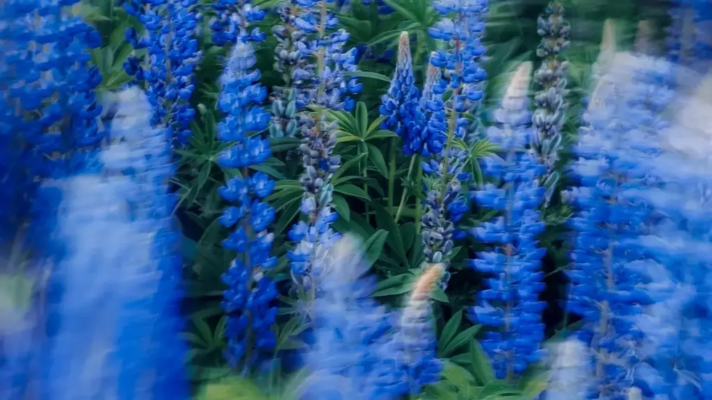 Jagora mai saurin aiki ga Nigerian creators: dabaru, misalai, da matakai don tuntuɓar Lebanon brands a eBay da ƙirƙirar exclusive product bundles.