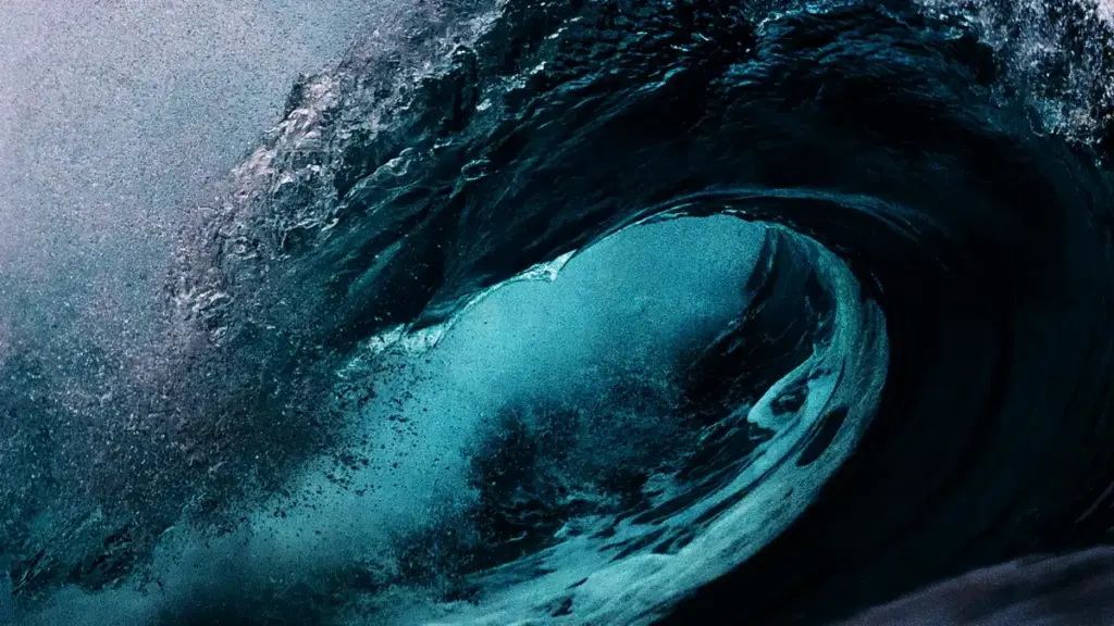 "Jagora mai sauƙi ga masu ƙirƙira a Najeriya: yadda za a tuntuɓi brands na Tunisia a TikTok, ka bayyana fa'idodin samfur cikin gaskiya da tasiri."