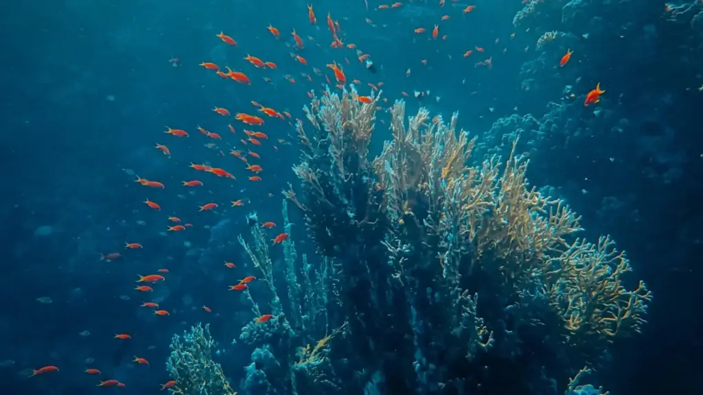 --- title: "Advertisers: Yadda za ku nemo Bolivia WeChat creators" slug: "find-bolivia-wechat-creators" description: |- Labari mai amfani ga 'yan ka...