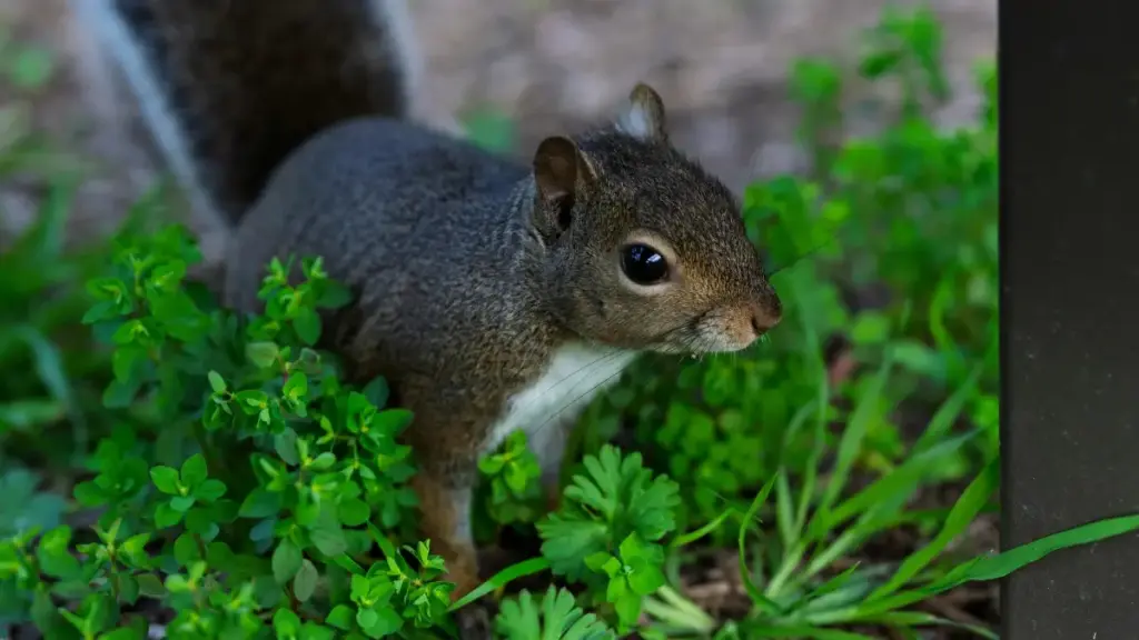 Jagora na haƙiƙa don advertisers a Najeriya: yadda za a gano kuma haɗa kai da Apple Music creators na Cambodia don kamfen ɗin esports — matakai, tashoshi, da haɗin gwiwar al'adu.
