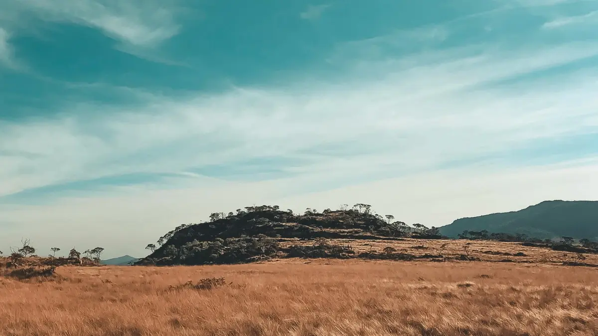 Masu talla: Yadda za a nemo Iceland creators don product seeding