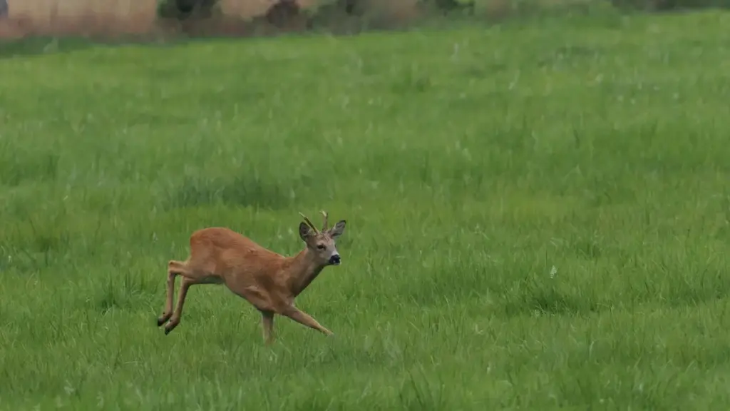 Jagora mai amfani daga Nigeria: yadda za ka gano Sri Lanka Viber creators don limited-edition drops, haɗa nazari na kasuwa, hanyoyin outreach, da matakai na quick-win.