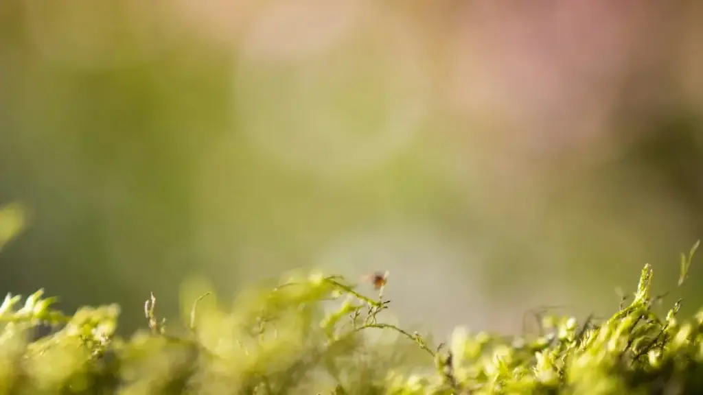 Jagora ga ‘yan kasuwa a Najeriya: yadda za a gano kuma a haɗa kai da masu ƙirƙira na Japan a Apple Music don yin aiki tare da micro‑influencers — matakai, kafafu, da dabaru na 2025.