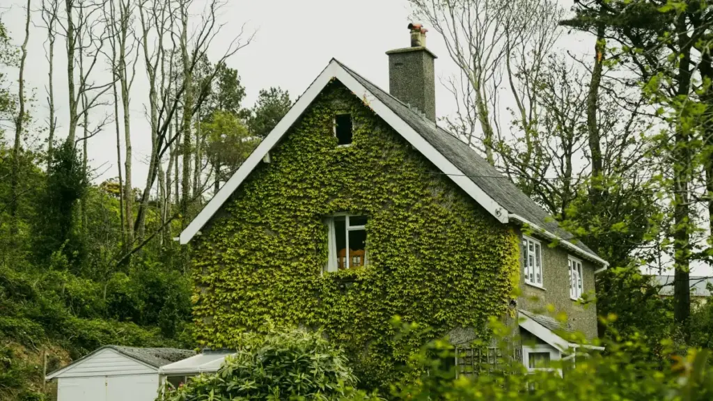 Jagora mai sauri ga 'yan creators a Najeriya: yadda za a gano, tuntuba, da samar da bidiyon shaida ga kasuwannin Bosnia a eBay — da dabaru na goge-hannu, misalai, da yadda VPN zai taimaka.