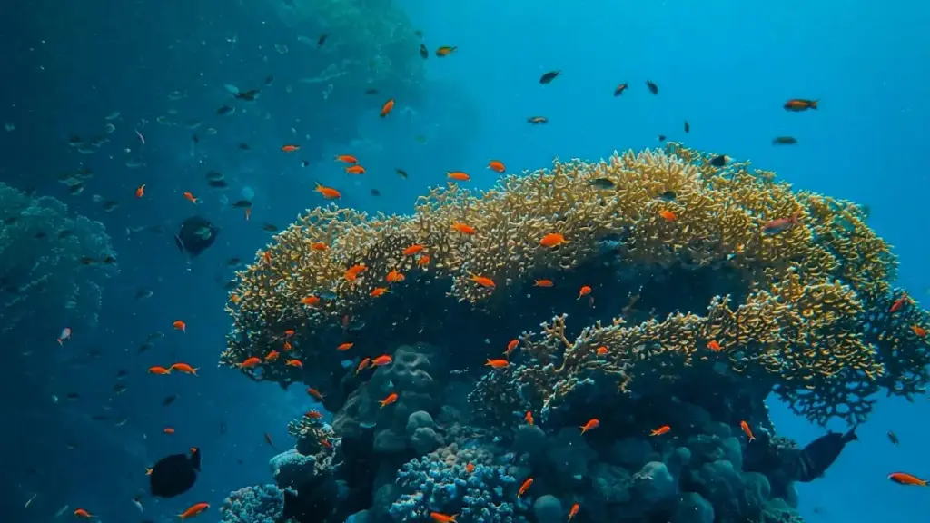 Jagora mai sauki daga Nigeria akan yadda creators zasu tuntubi brands na Mexico a WeChat don hadin gwiwar productivity guides — mataki‑mataki, misalai, da hanyoyi masu aiki.