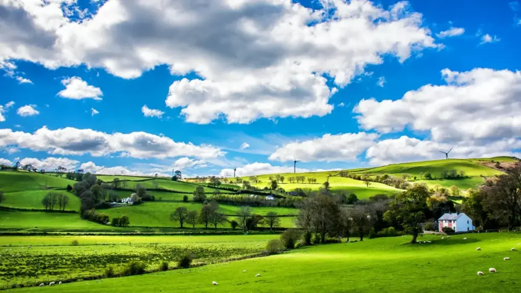 Jagora daga Najeriya: dabaru na gaske don tura abun ciki ga Qatar brands a Hulu, da yadda za a amfani da campaigns na Visit Qatar don nuna hidden local gems.