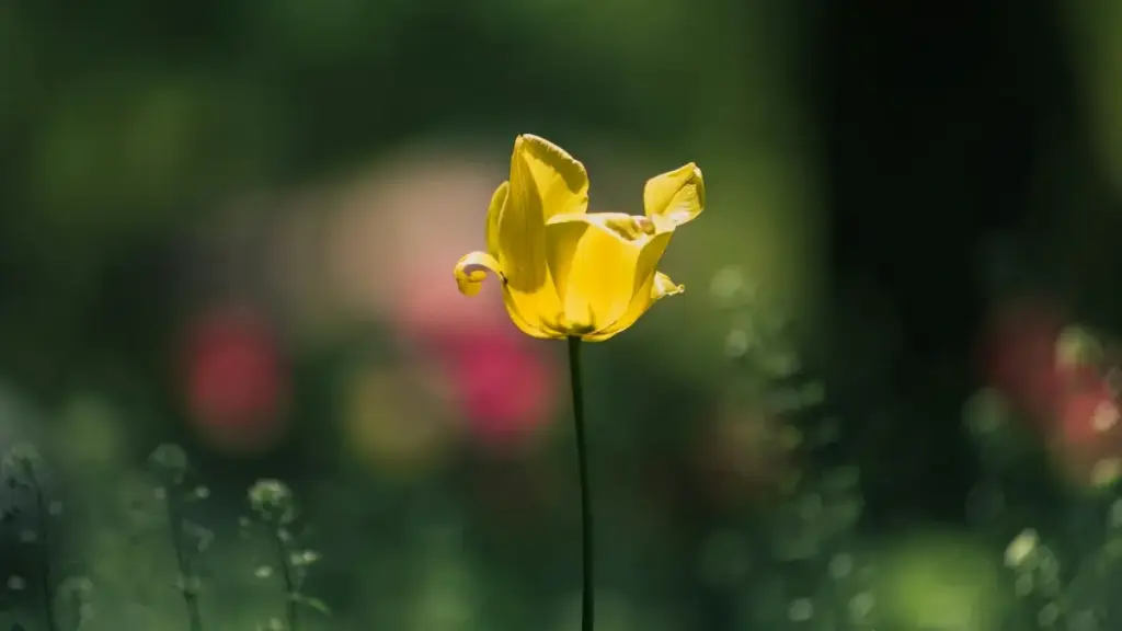 Jagora na mataki-mataki don 'yan kasuwa a Najeriya: yadda za a gano, tantance, da kwangila ga masu kirkira daga China a Reddit don yin visual product reviews cikin aminci.