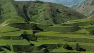 Jagora na aikin tallatawa daga Najeriya: yadda ake gano YouTube creators na Ethiopia don haɓaka samfuri a kasuwannin duniya, tare da dabaru, kayan aiki, da haɗin gwiwa.