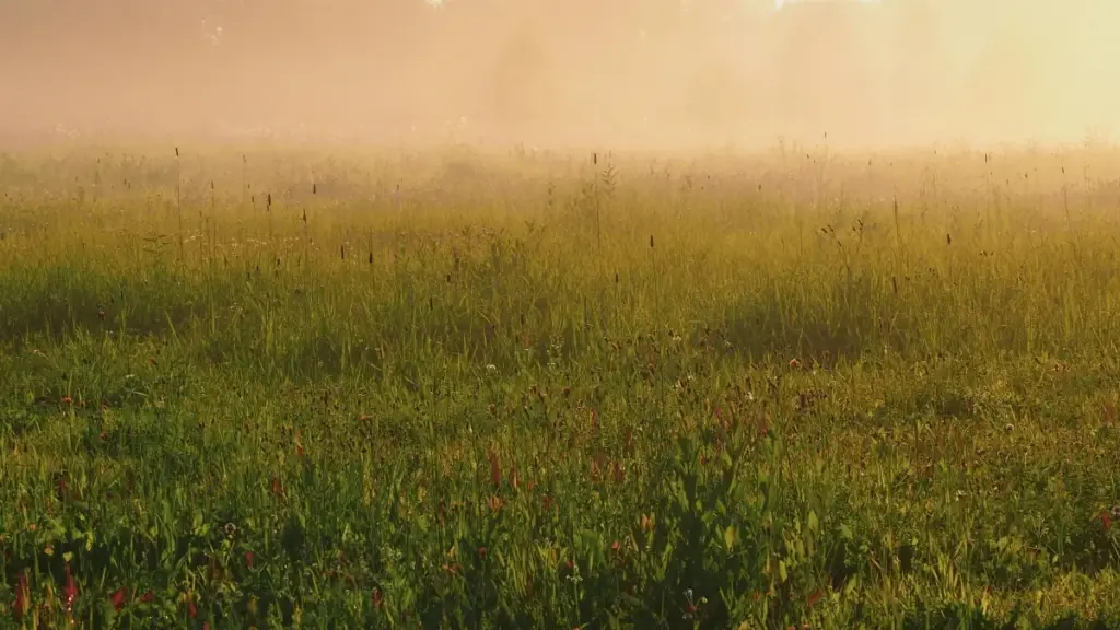 Matakai masu amfani daga Naija: yadda za ka samu brands na Mexico a TikTok, kafa haɗin gwiwa, da ƙirƙirar exclusive product bundles da riba.