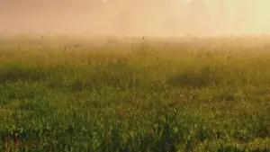 Matakai masu amfani daga Naija: yadda za ka samu brands na Mexico a TikTok, kafa haɗin gwiwa, da ƙirƙirar exclusive product bundles da riba.