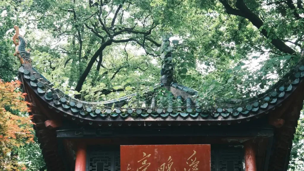 Jagora mai sauri ga masu ƙirƙira daga Najeriya: matakai, dabaru da misalai don haɗuwa da brands na South Africa a Moj don haɗin cross-promo.