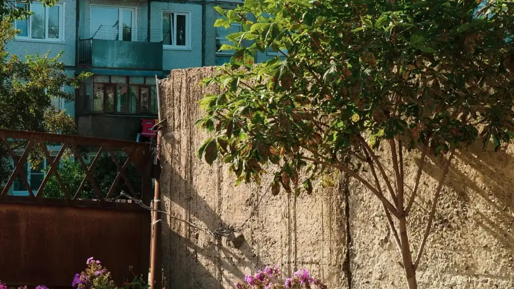 Jagora na gida ga masu talla a Najeriya: matakai na zamani don gano da haɗa kai da Switzerland Spotify creators domin ƙaddamar da mobile game.