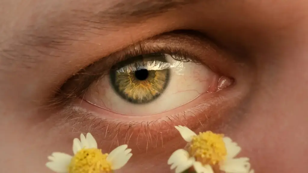 Jagora ga advertisers a Nigeria: matakai na gaske don nemo Czech Twitter creators, yadda zasu ja traffic zuwa fitness apps, da yadda za a rage risk na branded content da rashin bayyana hulɗa.