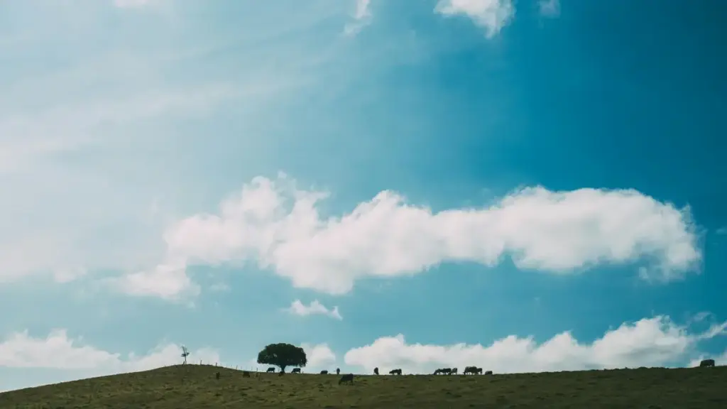 Jagora na zamani ga 'yan kasuwa a Najeriya: hanyoyi masu aiki don gano masu ƙirƙira Apple Music daga Japan da sarrafa flash sale ta amfani da influencer hype.