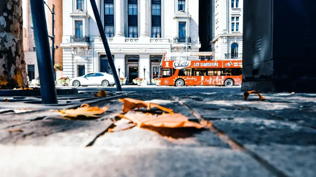 Jagora na haƙiƙa don 'yan kasuwa a Najeriya: yadda za a gano creators daga Sri Lanka masu sayarwa a eBay don ƙara social engagement da sales.