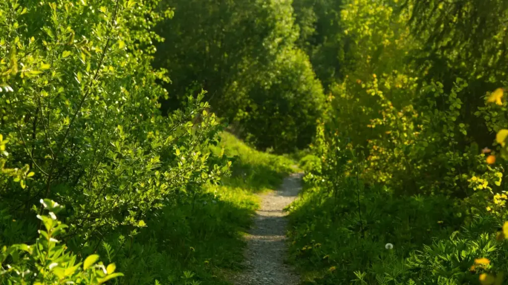 Jagora na hausa don 'yan talla a Najeriya: matakai masu amfani don gano Moj creators daga Mongolia da su nuna salon kakar, tare da dabaru na haɗin gwiwa da misalai daga CreatorWeek da alamomin dijital.