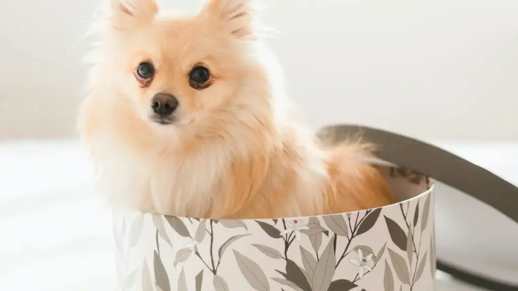 Jagora mai sauƙi ga masu ƙirƙira na Najeriya: dabaru na gaske don tuntuɓar brands na Uruguay a Netflix, yadda ake aika PR packages, unbox da review cikin hikima.