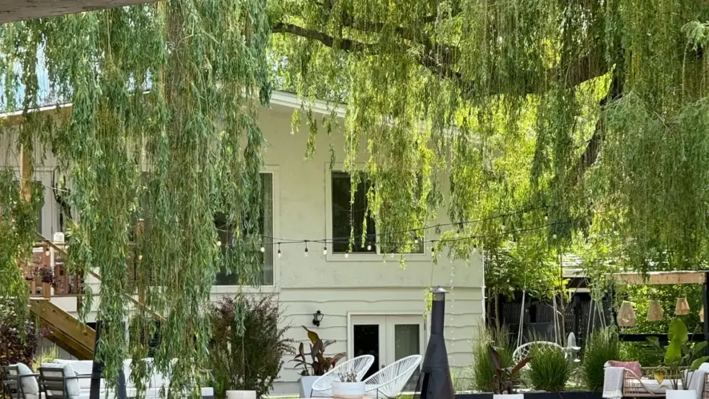 Jagora mai sauri don 'yan kasuwa a Najeriya: yadda za a gano masu kirkira a Ecuador a Pinterest, tabbatar da sahihanci, da sauya masu bibiyar su zuwa masu siyayya.