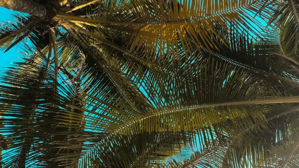 Jagora mai tafiya da hanya — yadda kamfanin Nigeria zai gano kuma ya haɗu da LinkedIn creators daga Hungary don ƙirƙirar tutorial na makeup, tare da dabaru, kasafin kuɗi da tsare‑tsare na haɗin gwiwa.