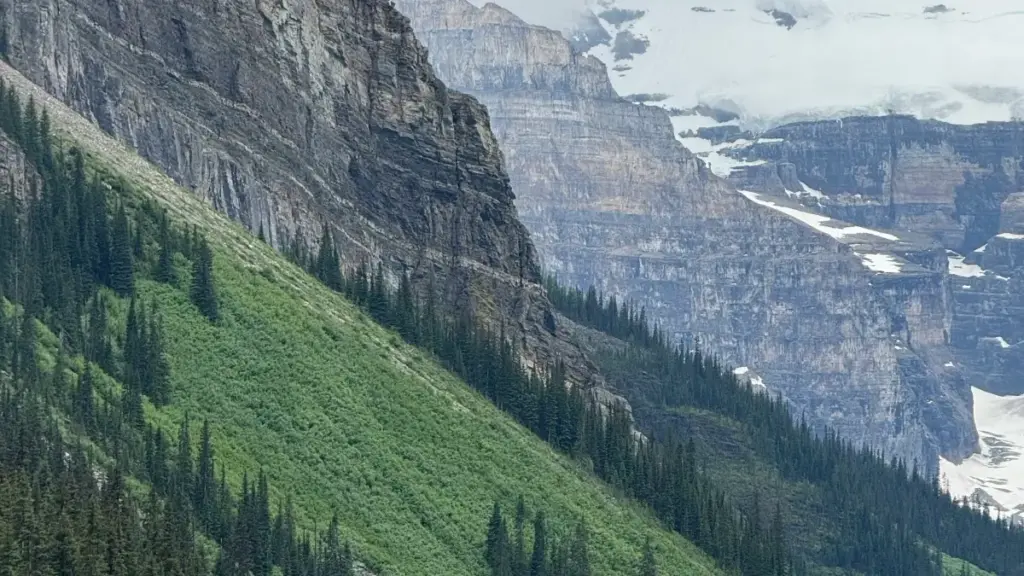 Jagora mai matakai don 'yan kasuwa a Najeriya: yadda za a nemo creators daga Portugal a Amazon don ƙaddamar da darussan makeup, haɗe da dabaru, kayan aiki, da haɗin gwiwar ROI.